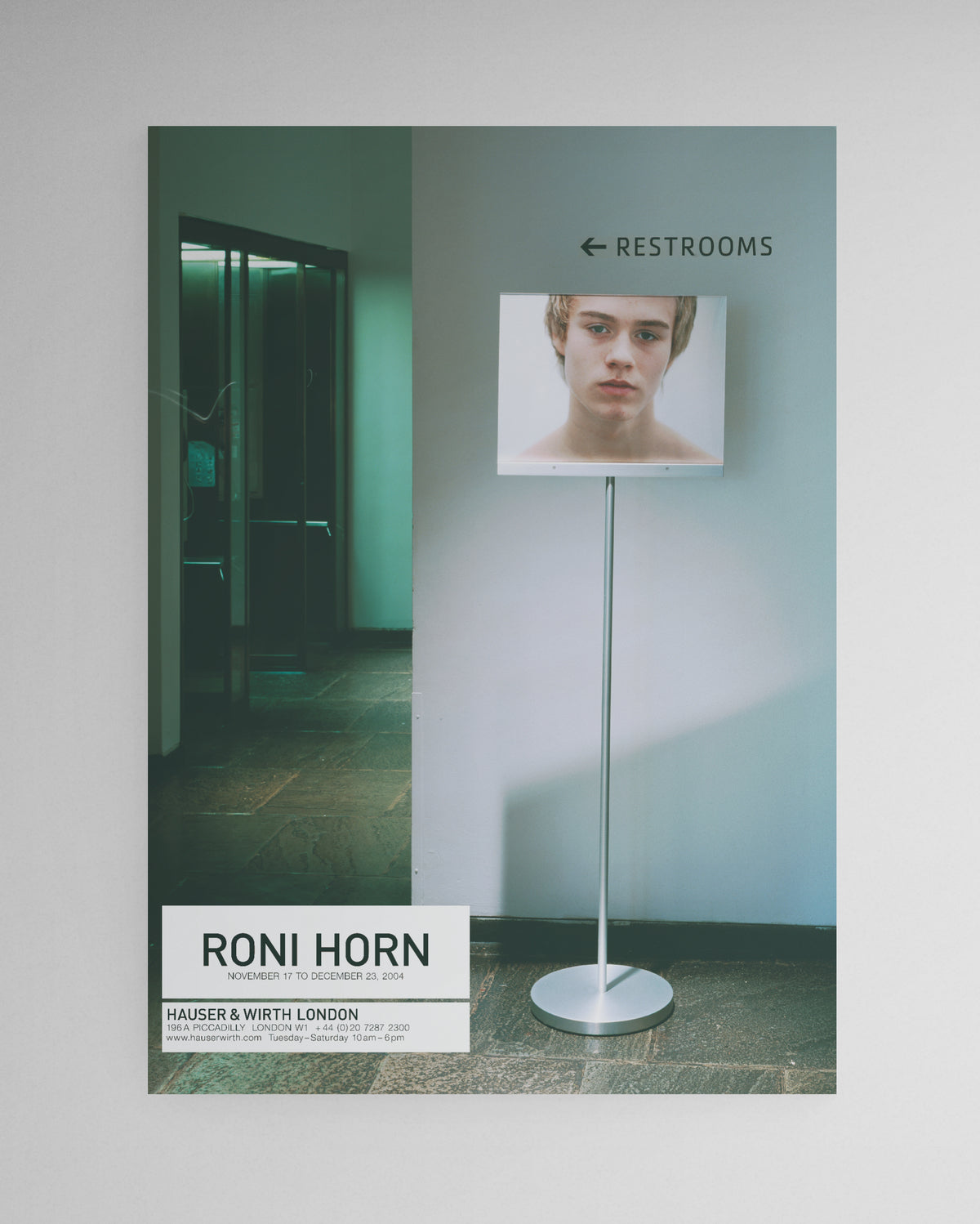 Roni Horn, 2004