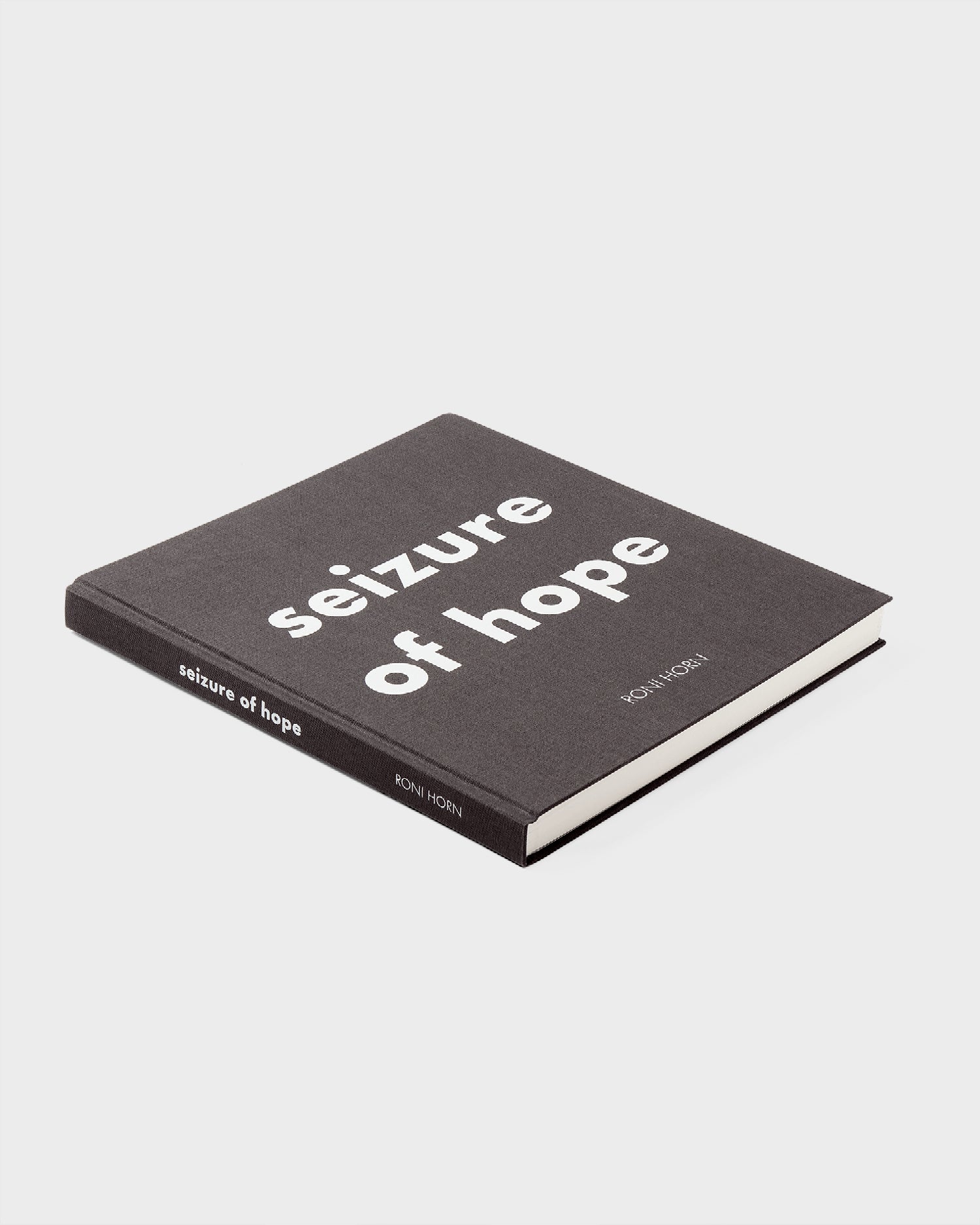 Roni Horn: Seizure of Hope