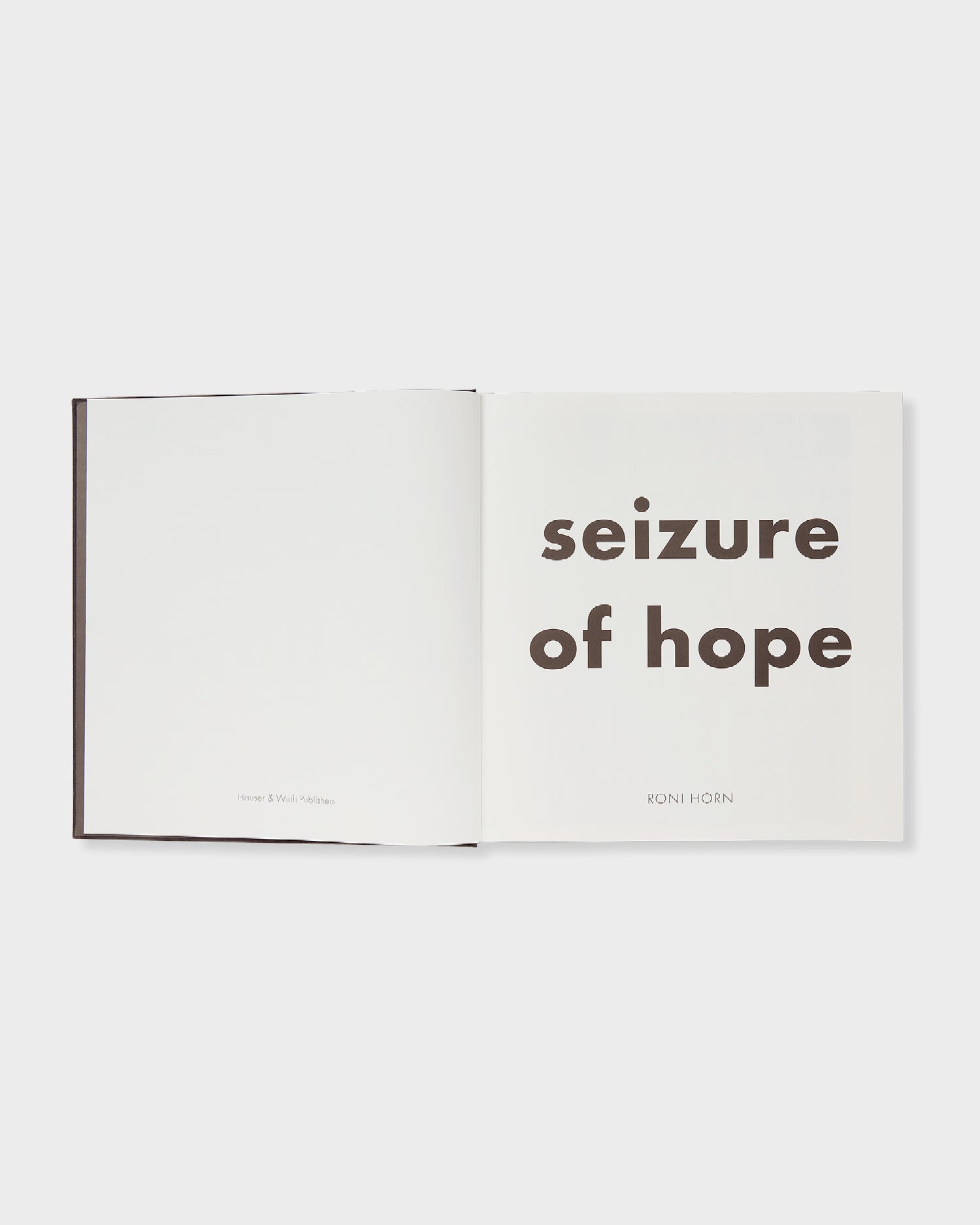 Roni Horn: Seizure of Hope