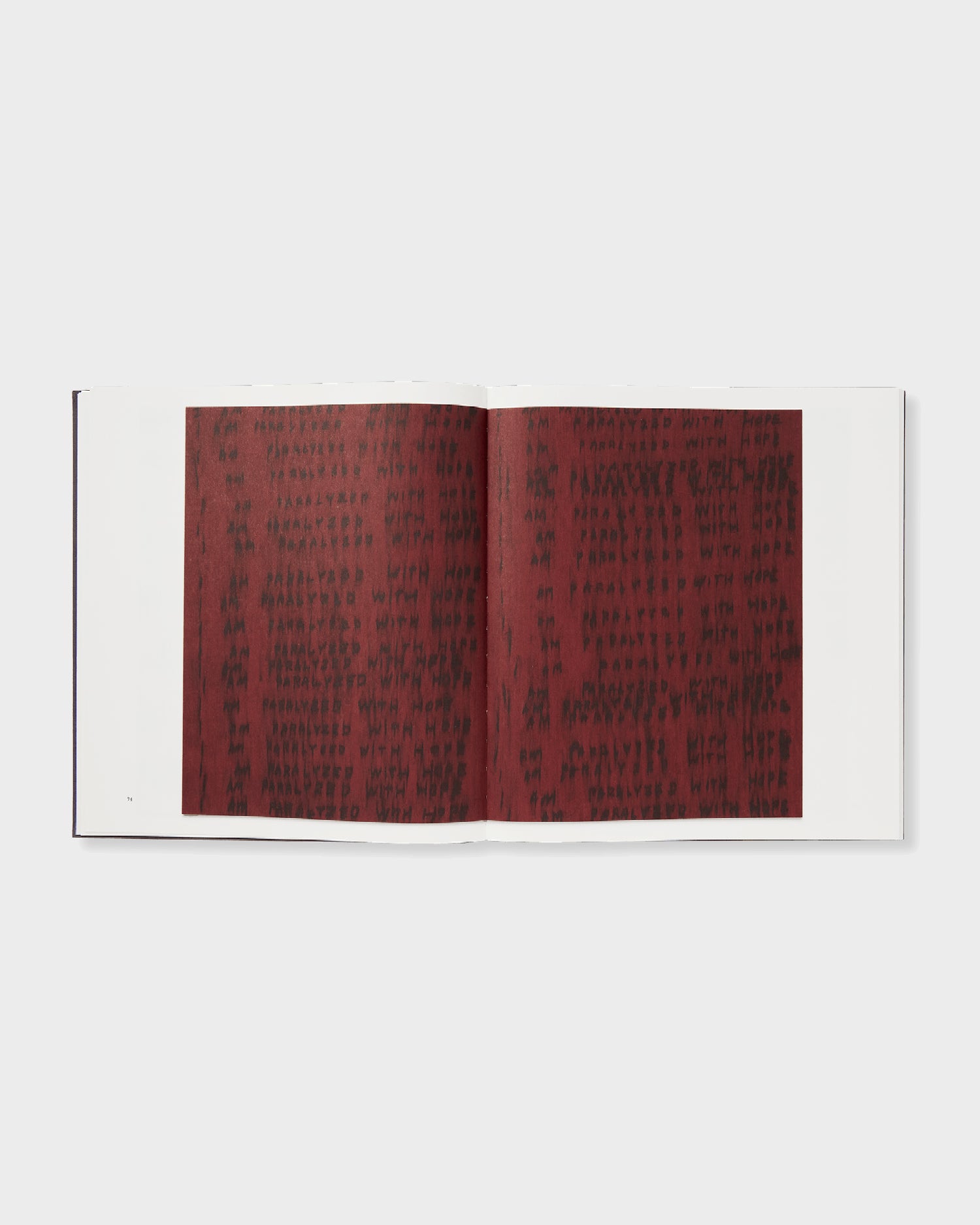 Roni Horn: Seizure of Hope