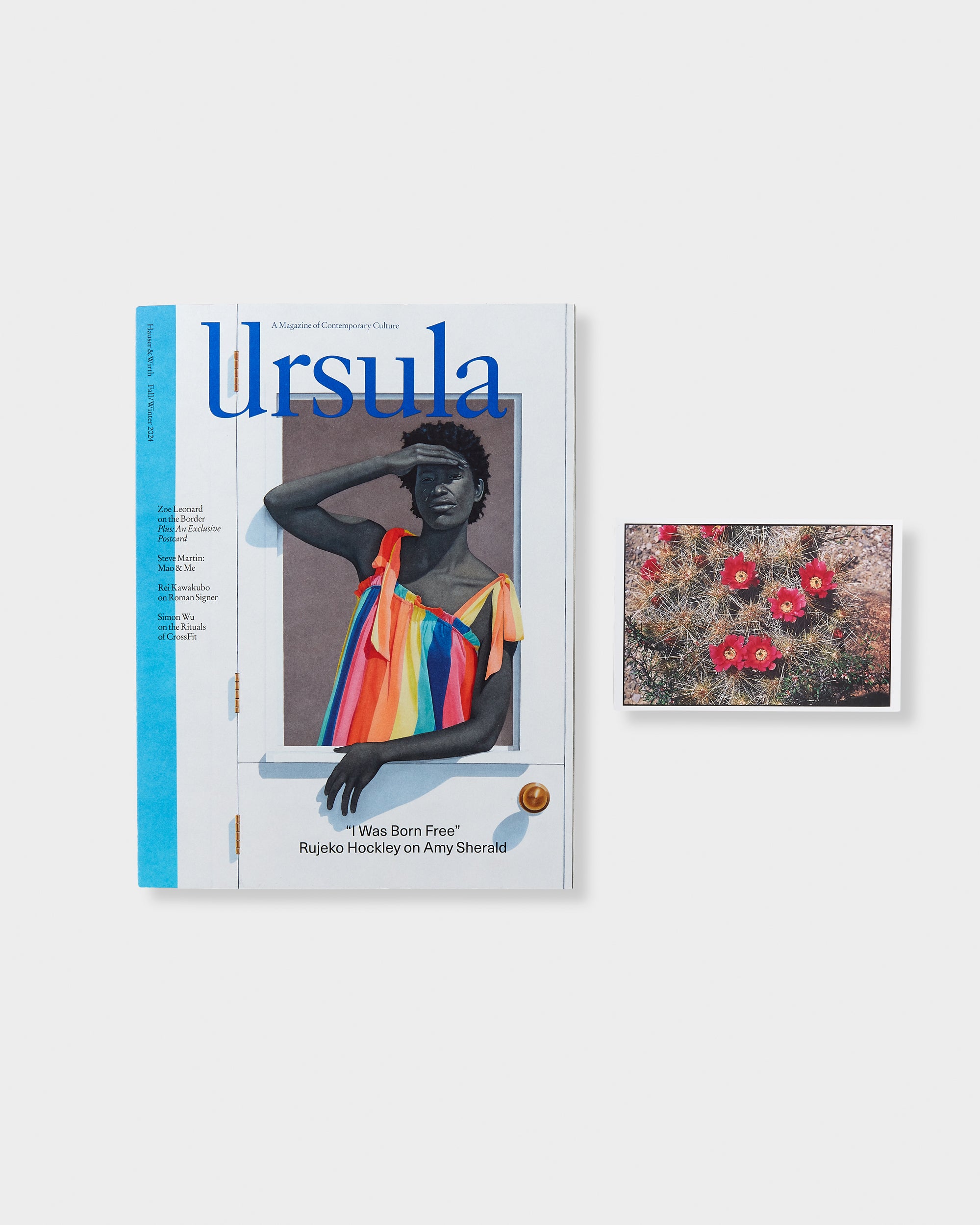 Ursula: Issue 11