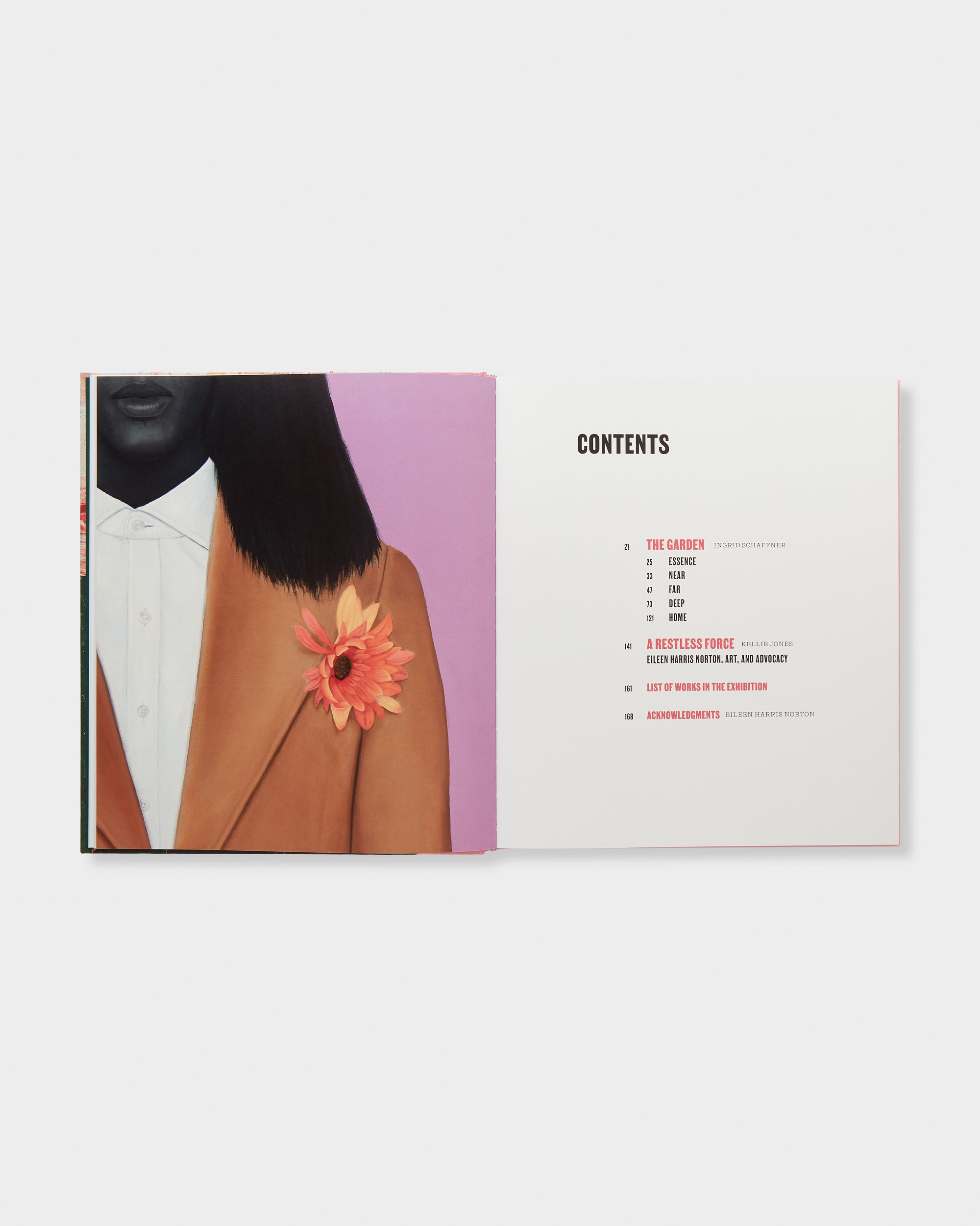 Destiny Is a Rose: Art from the Eileen Harris Norton Collection