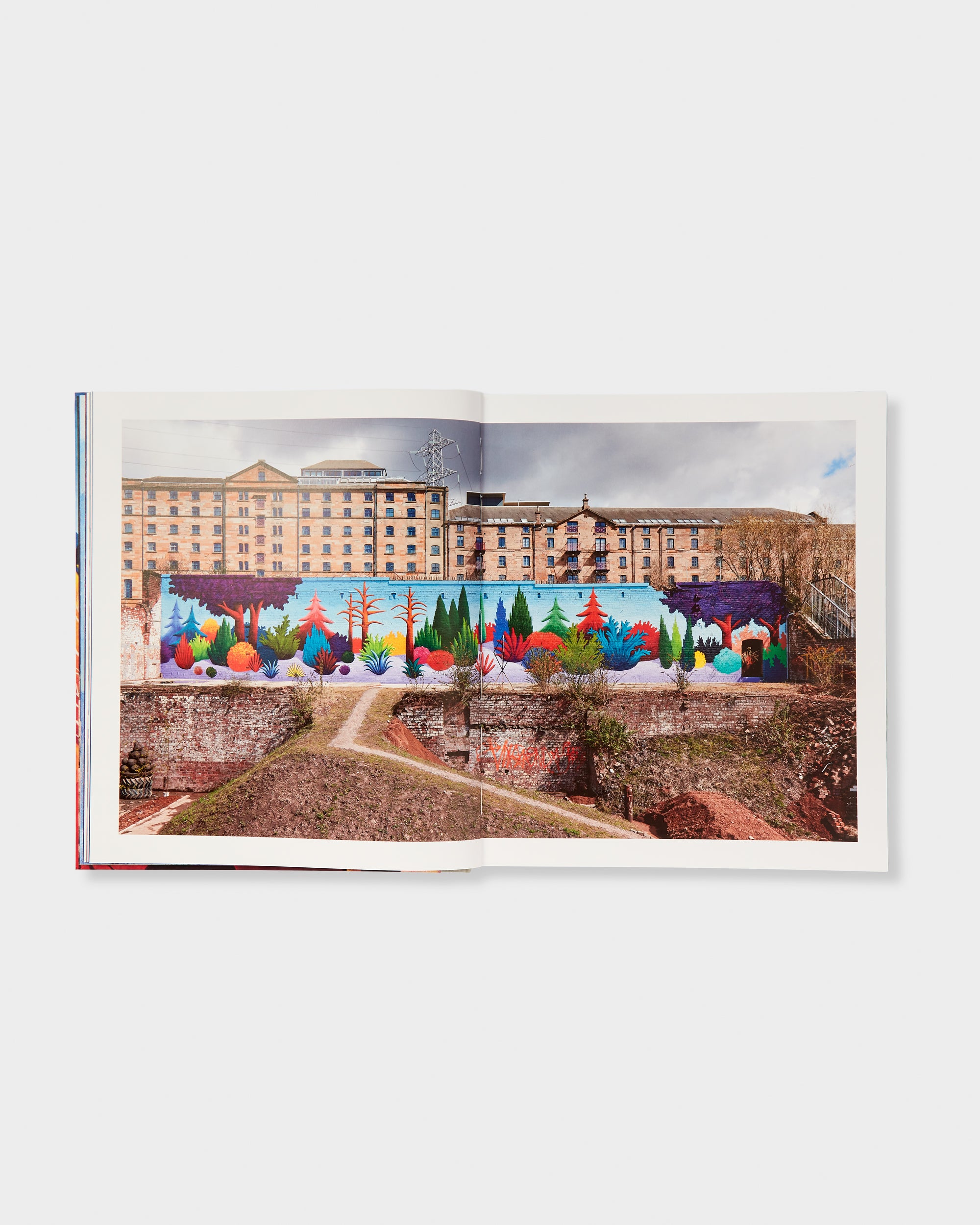 Nicolas Party: Murals
