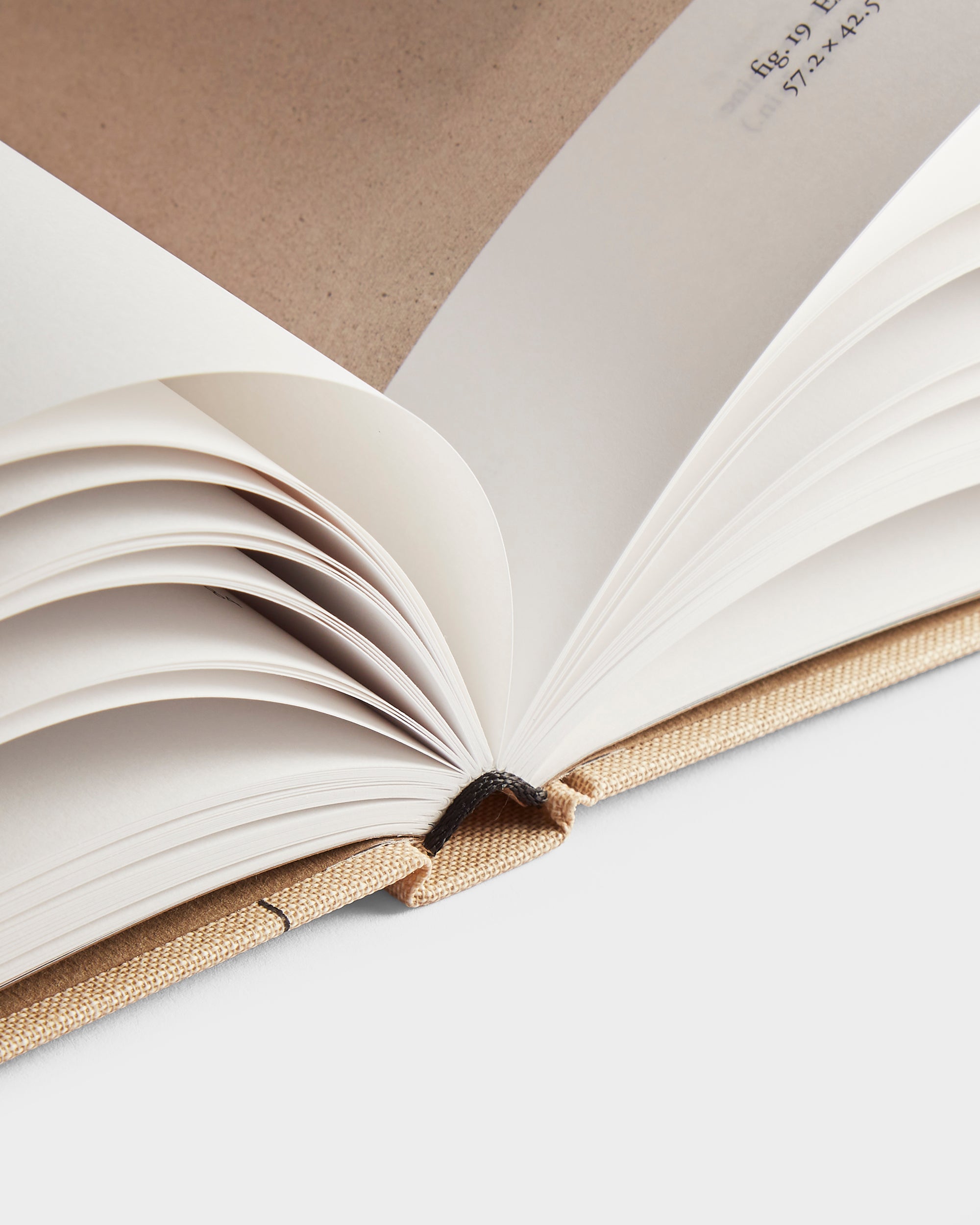 Sophie Taeuber-Arp: la règle des courbes / The Rule of Curves