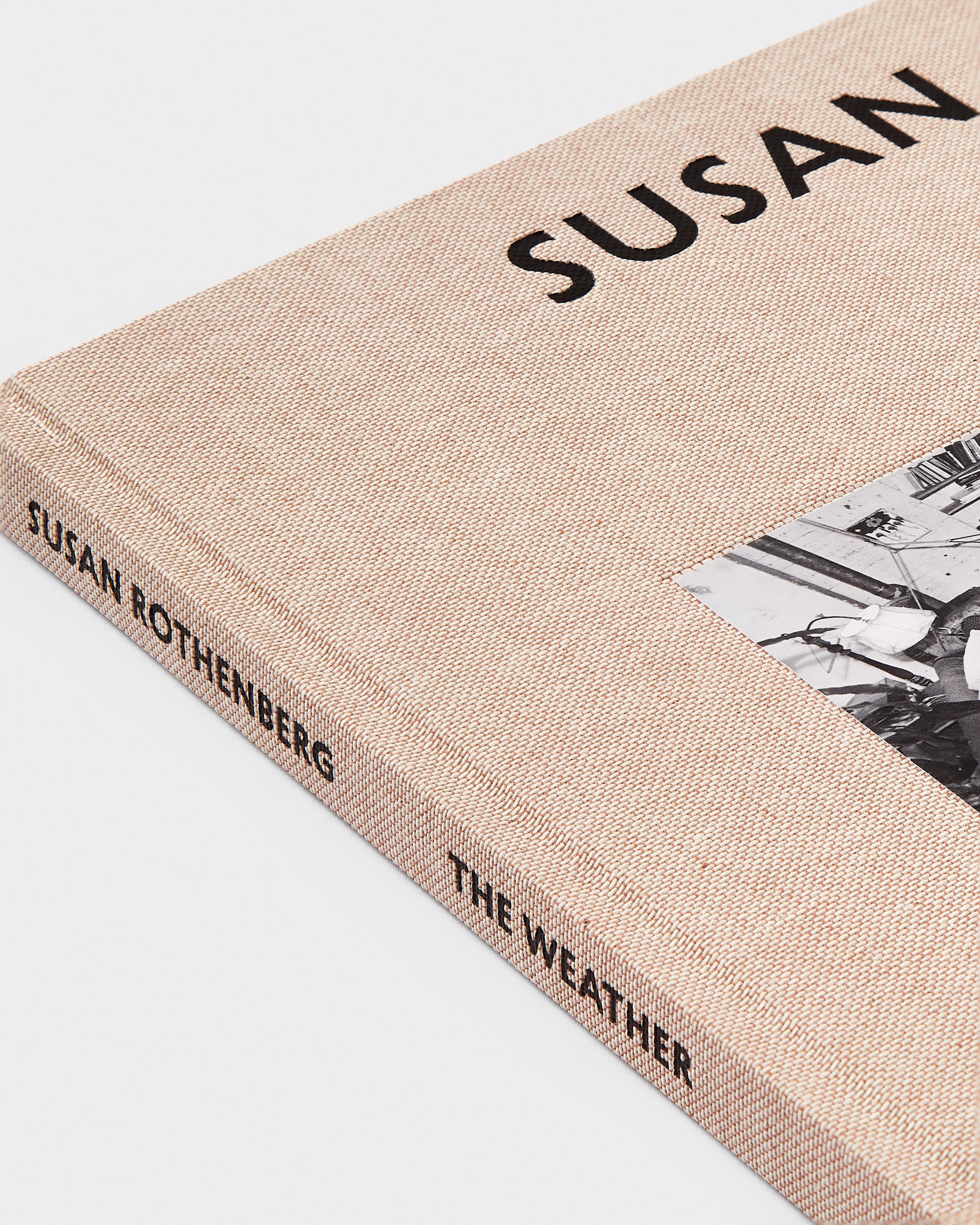 Susan Rothenberg: The Weather