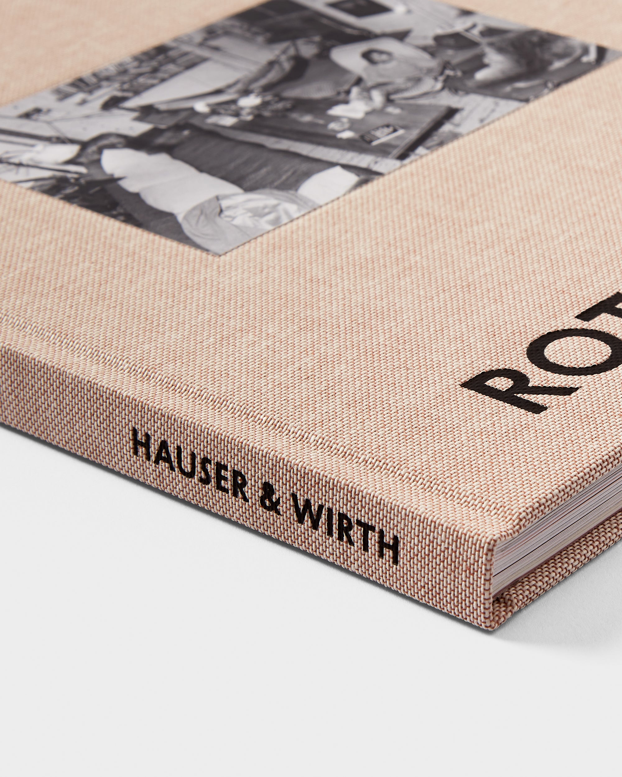 Susan Rothenberg: The Weather