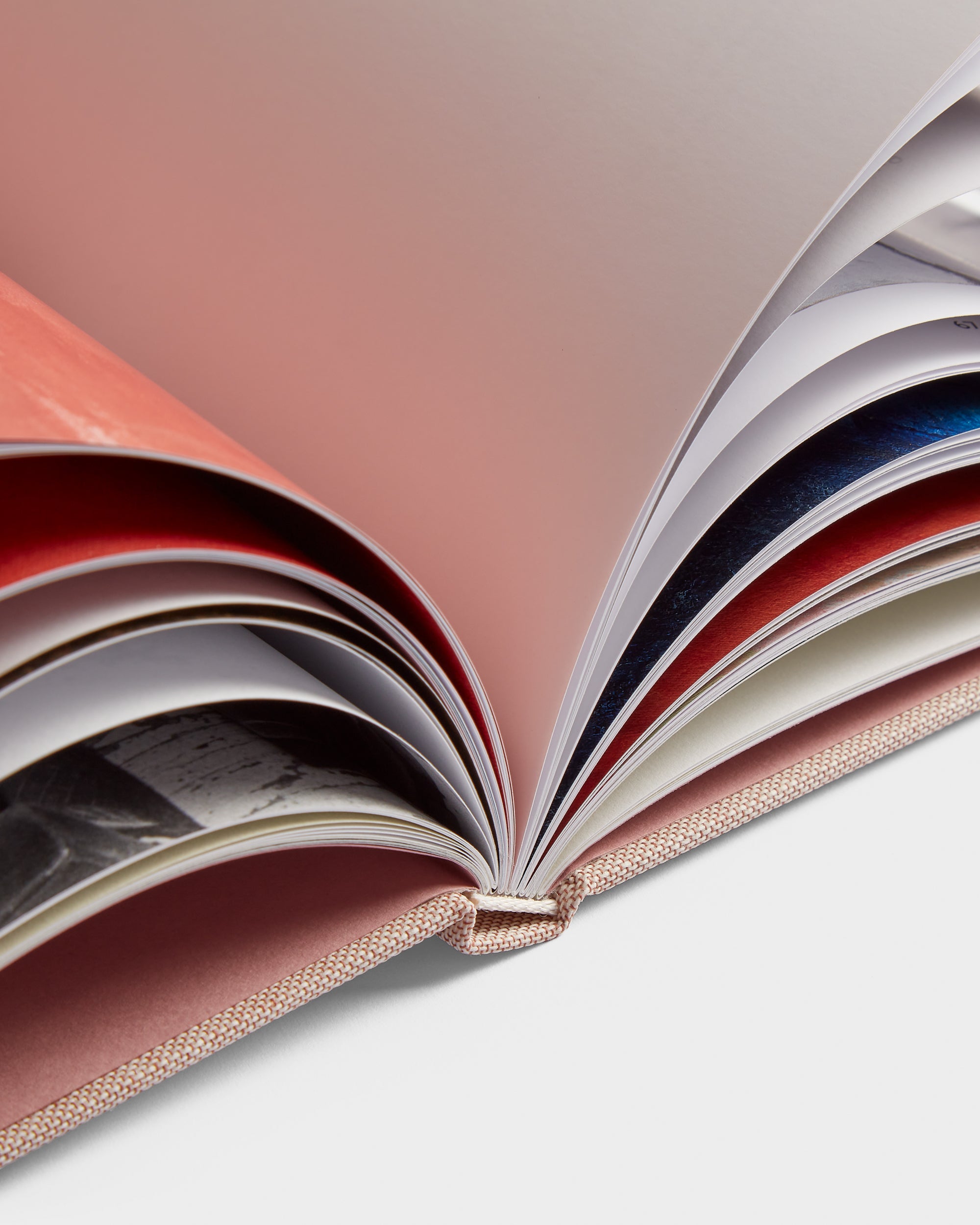 Susan Rothenberg: The Weather