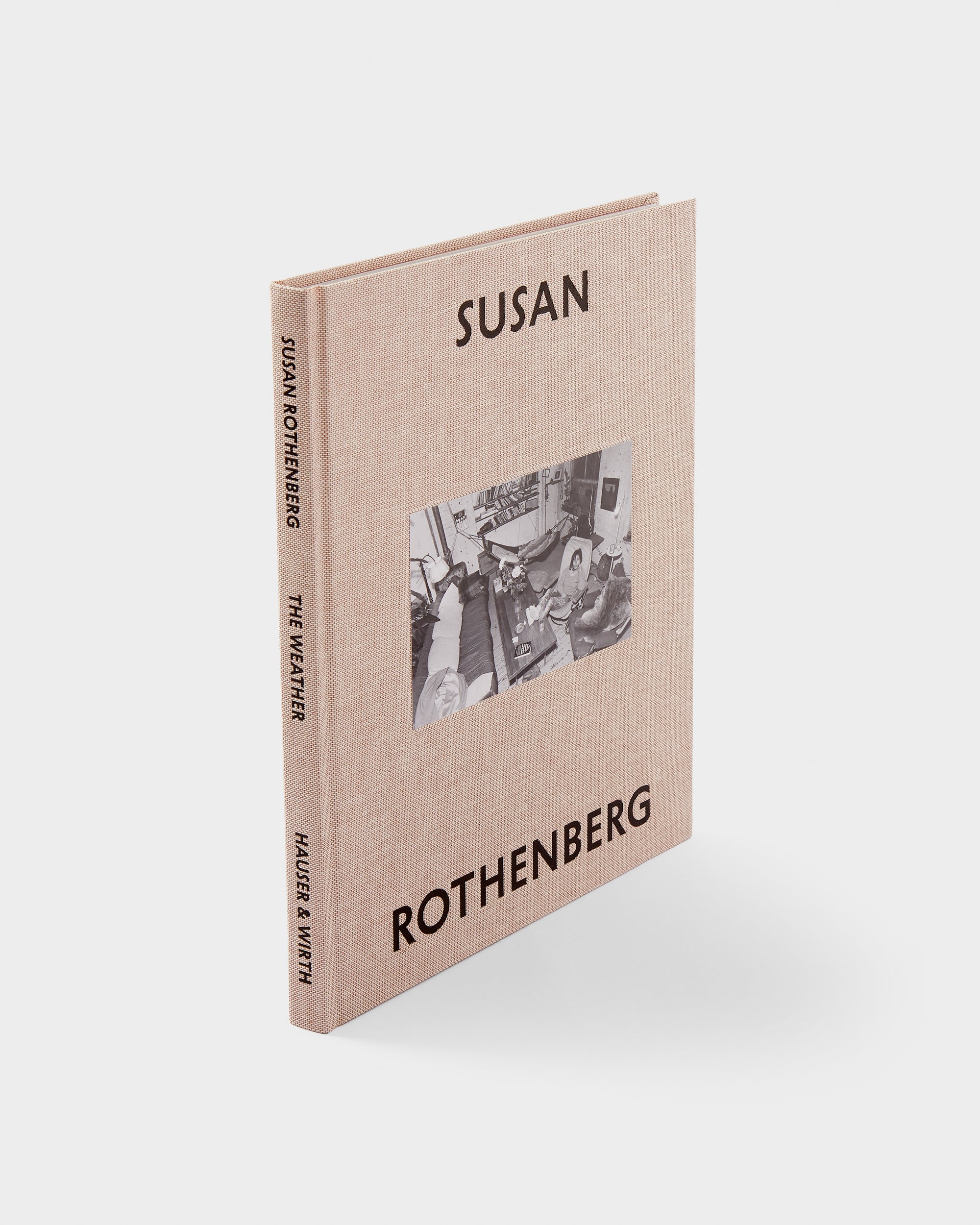 Susan Rothenberg: The Weather