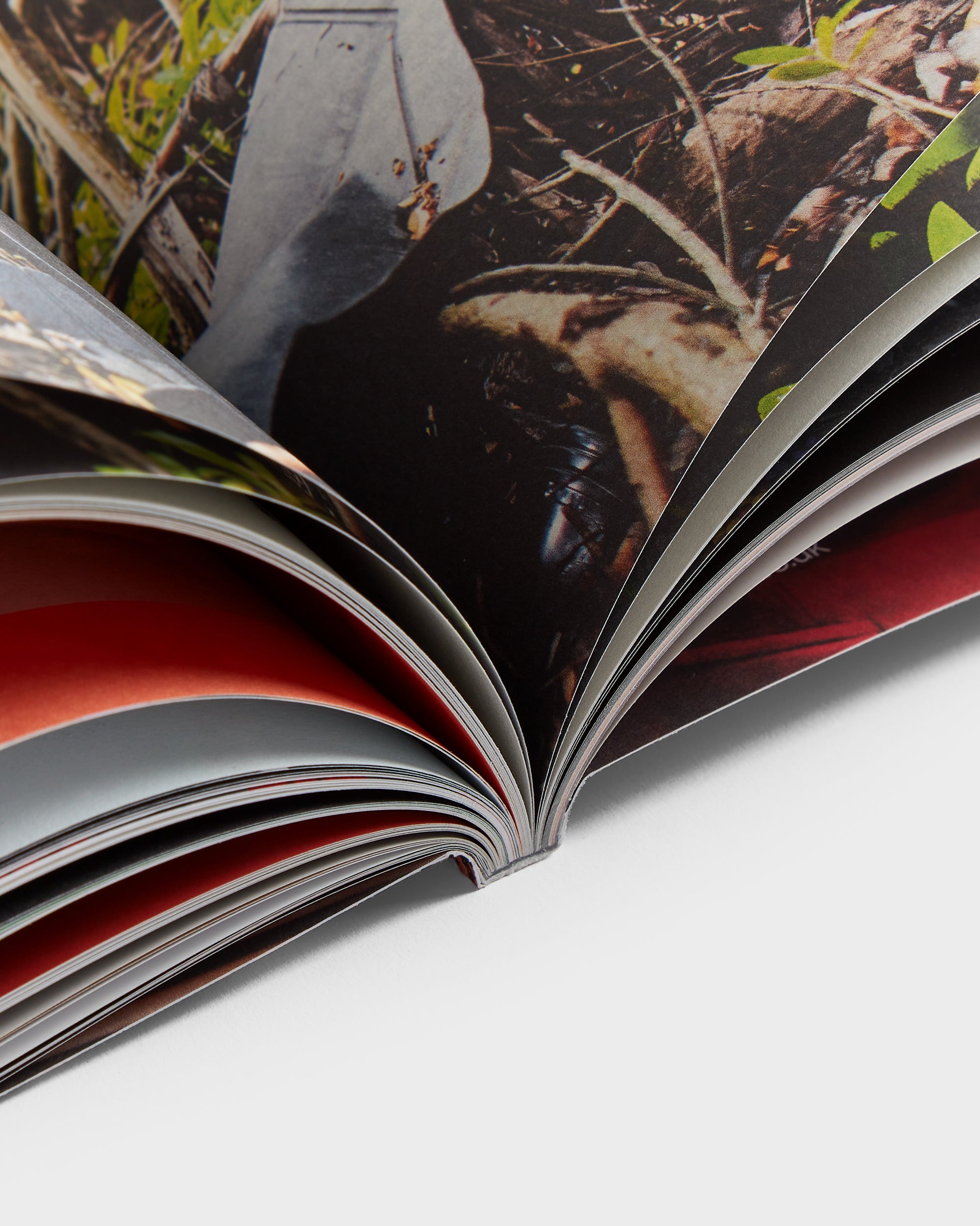 Ursula: Issue 13