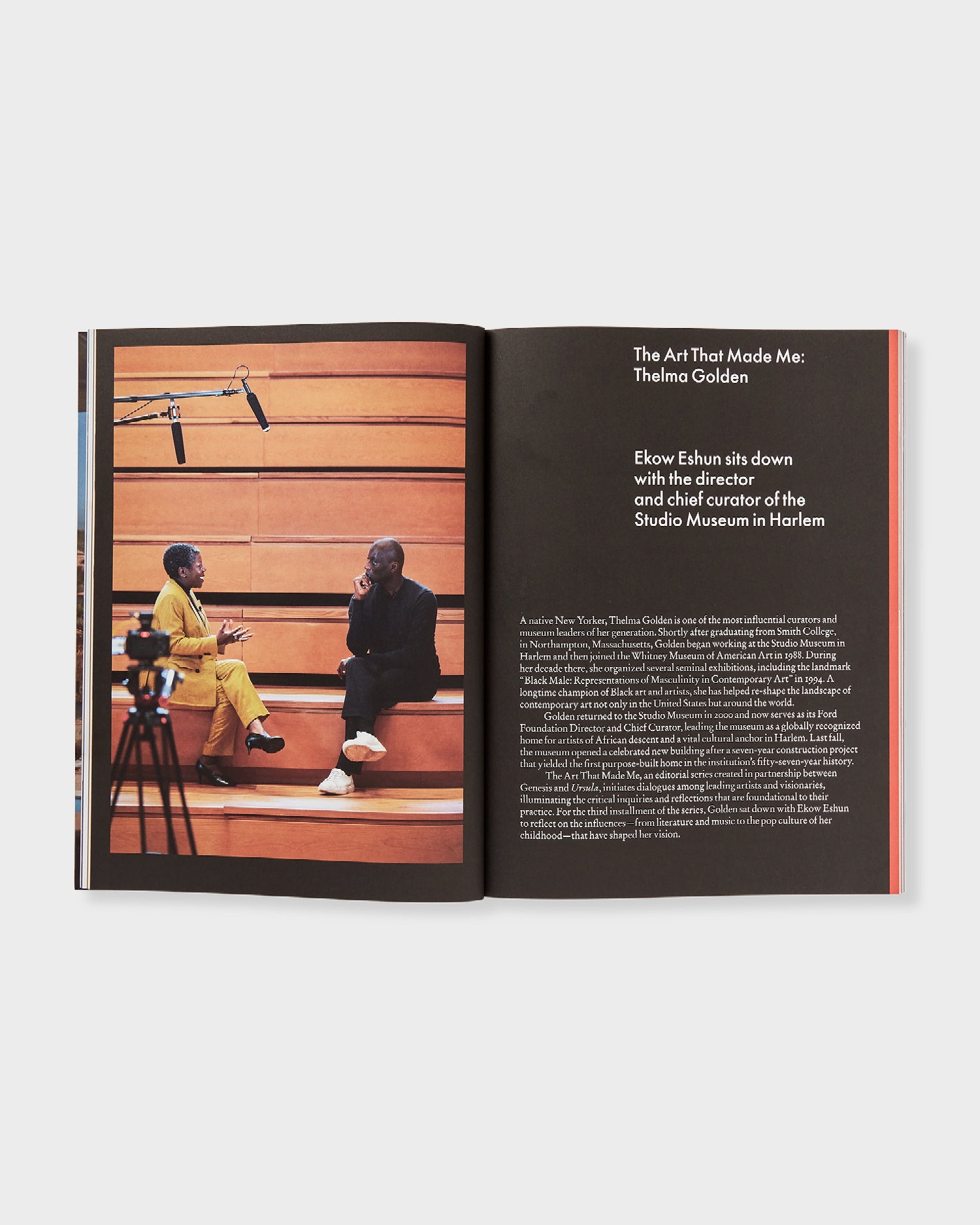 Ursula: Issue 17, Hauser & Wirth