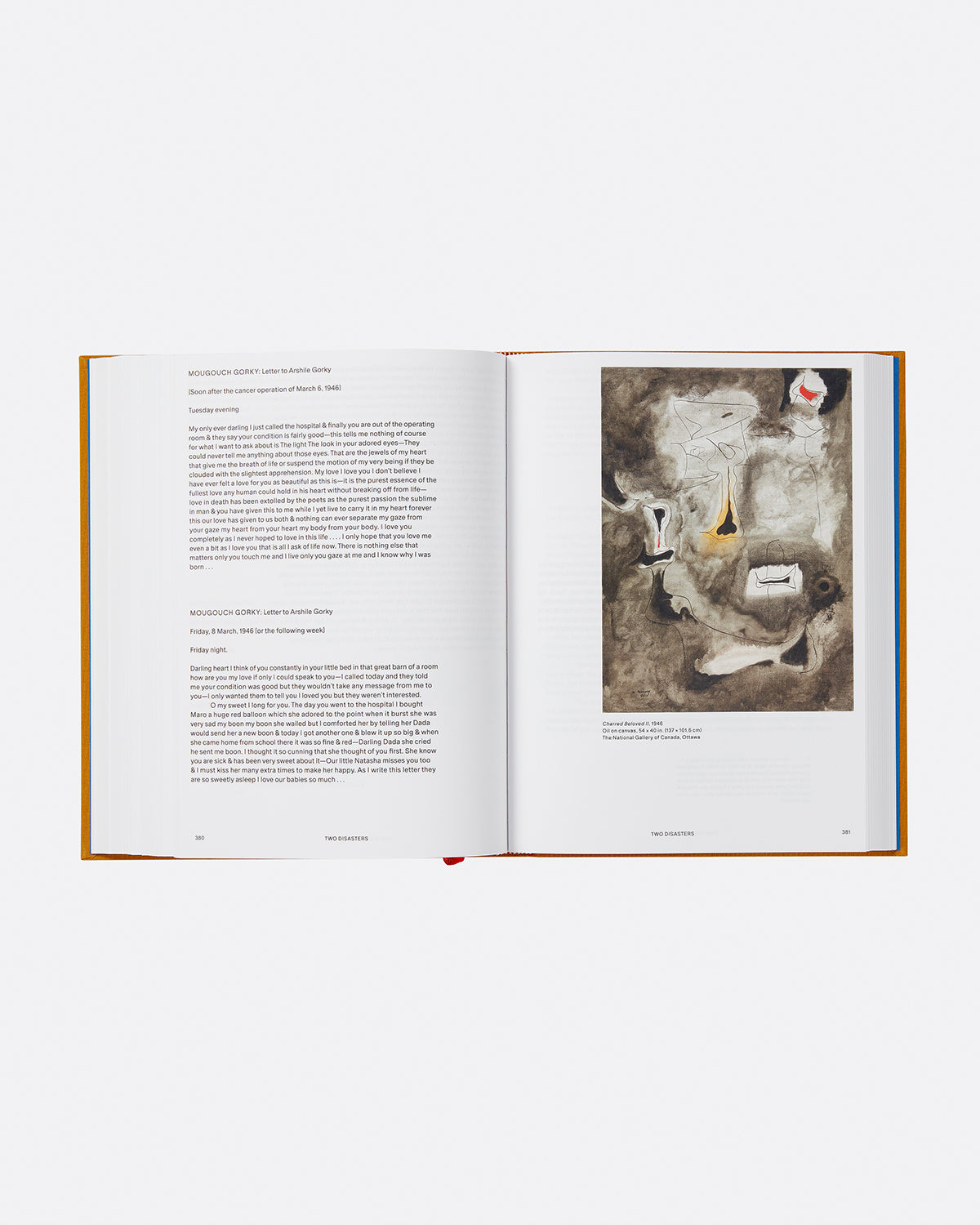 Arshile Gorky: The Plow and the Song: A Life in Letters and Documents Default Title