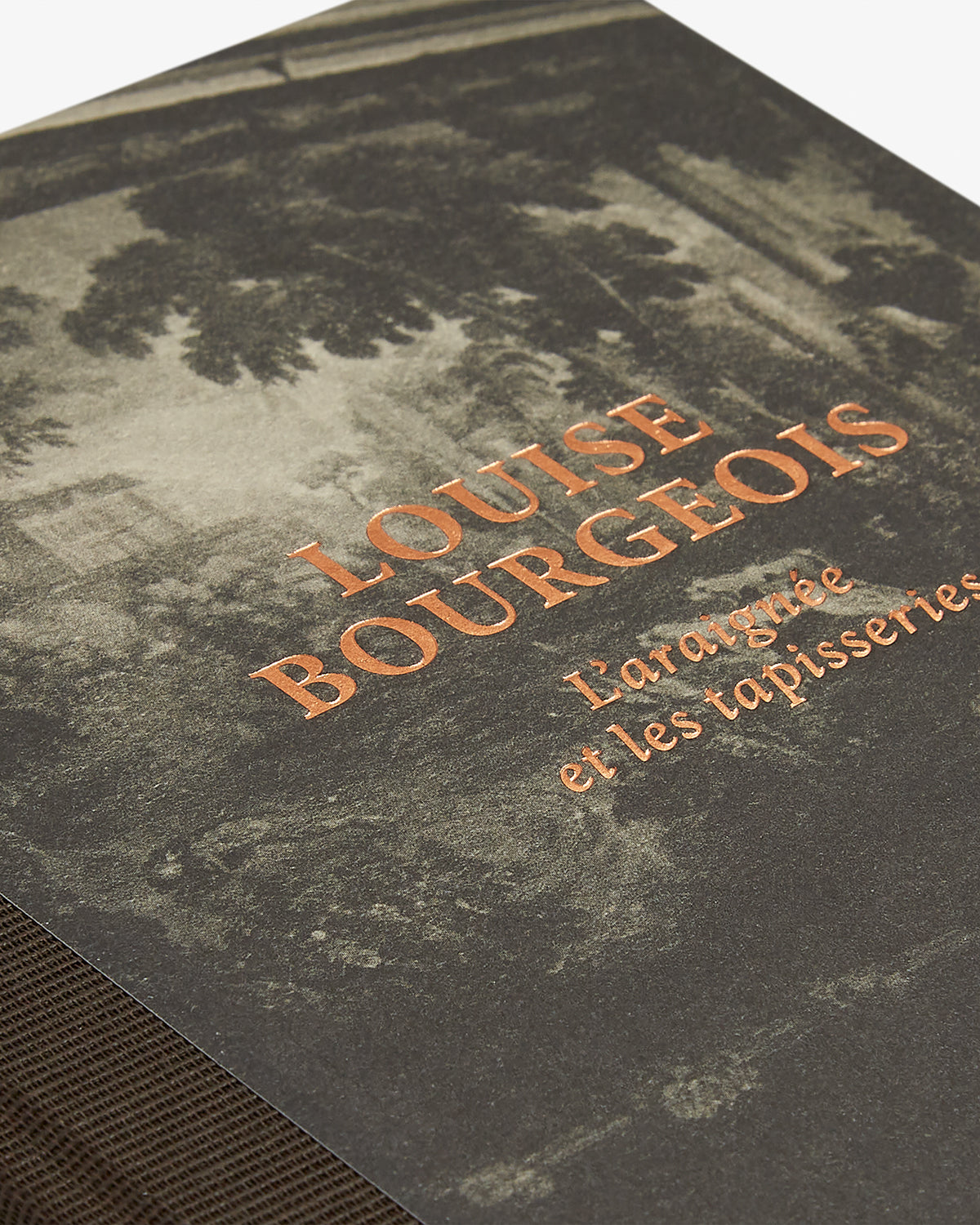 Book, Louise Bourgeois: L'araign‚àö¬©e et les tapisseries, Hauser