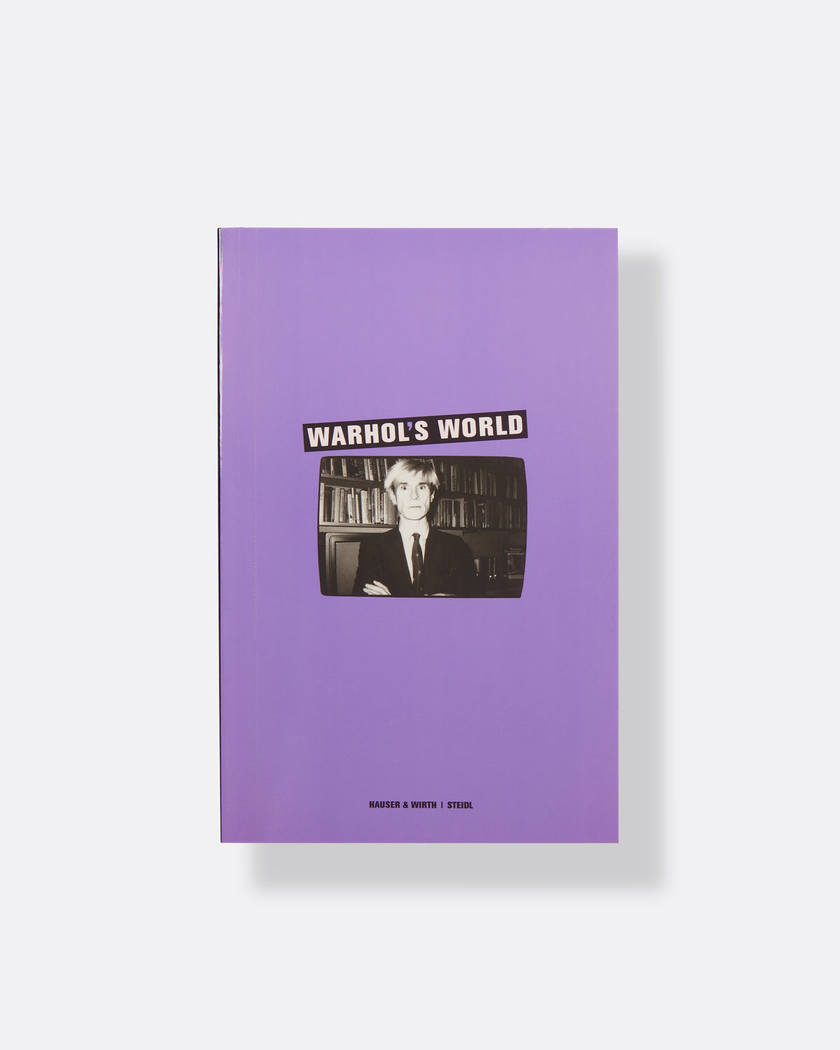 Warhol's World