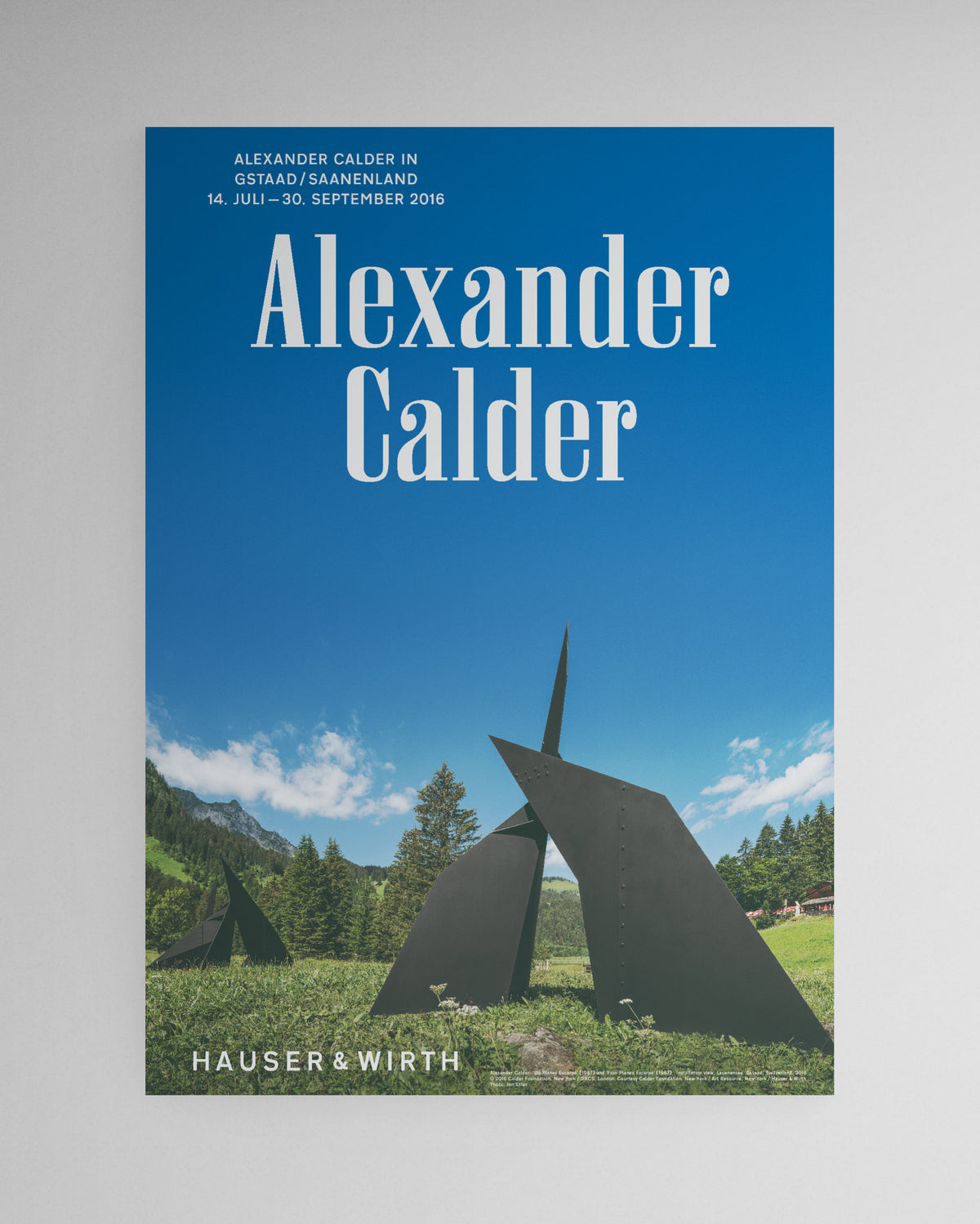 Alexander Calder, 2016